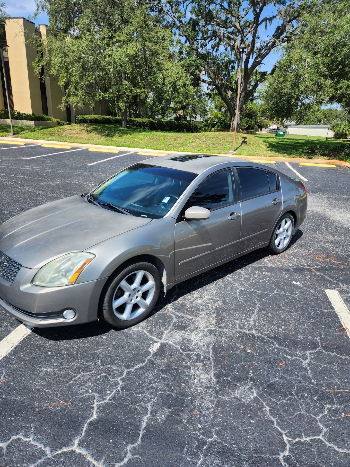 Sold-2007 Nissan Maxima / ZOE Got Cars / Cars