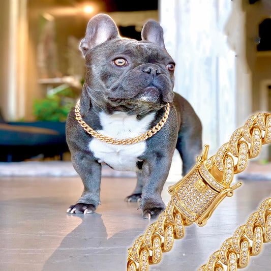 ZB Iced Dog Chain